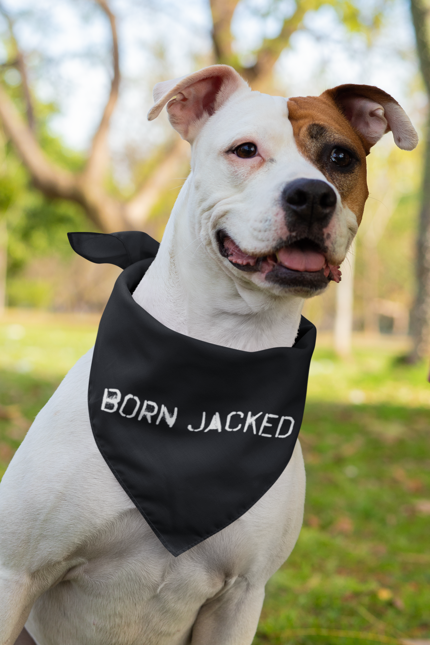 Born Jacked - Pet Bandana